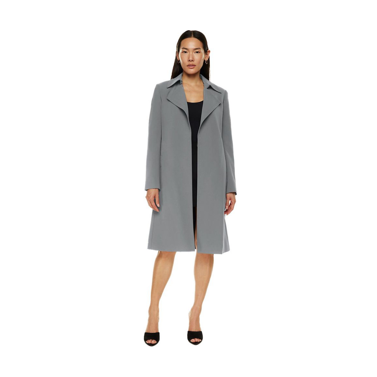 Babaton by Aritzia Adira Trench Coat