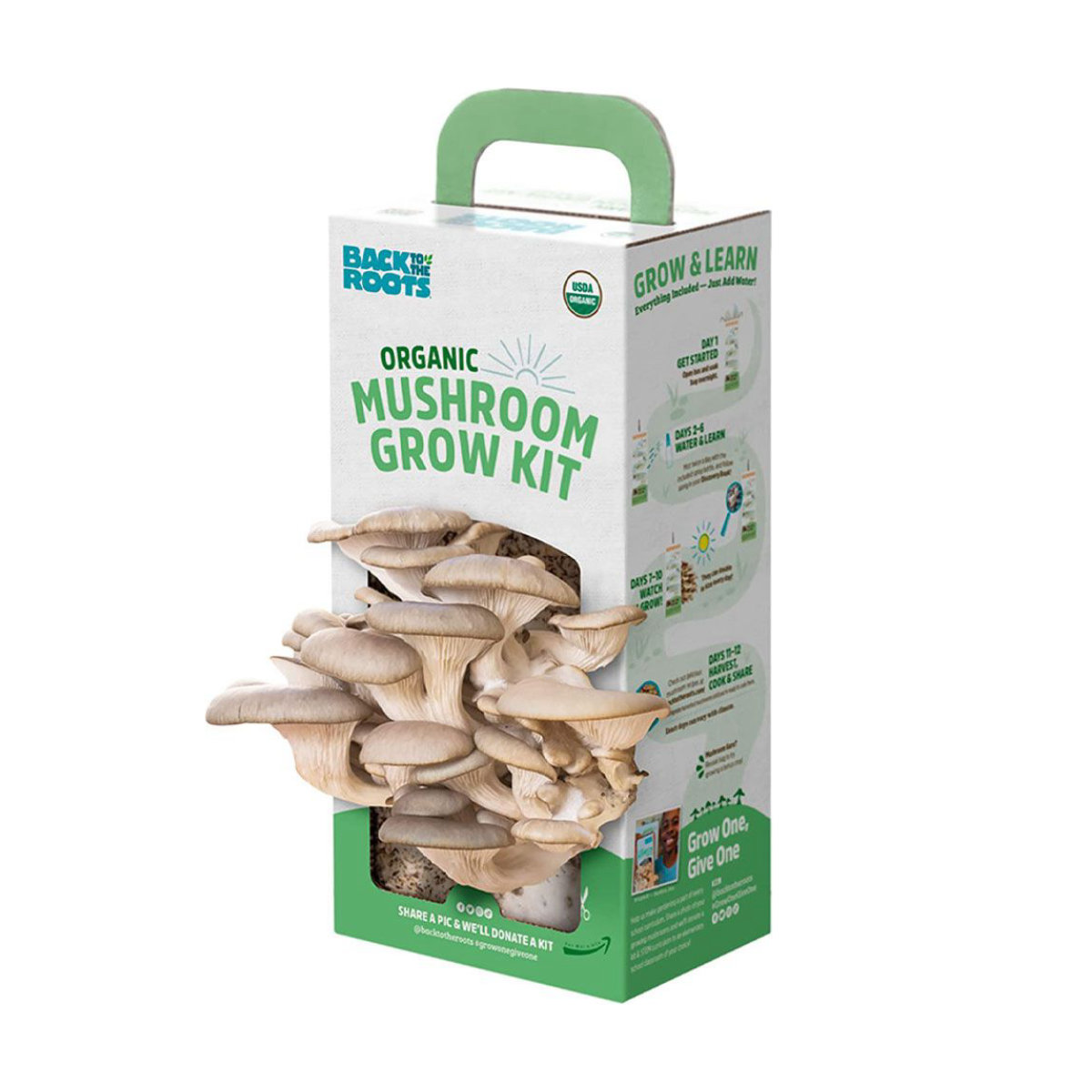 Back to the Roots Organic Mushroom Grow Kit