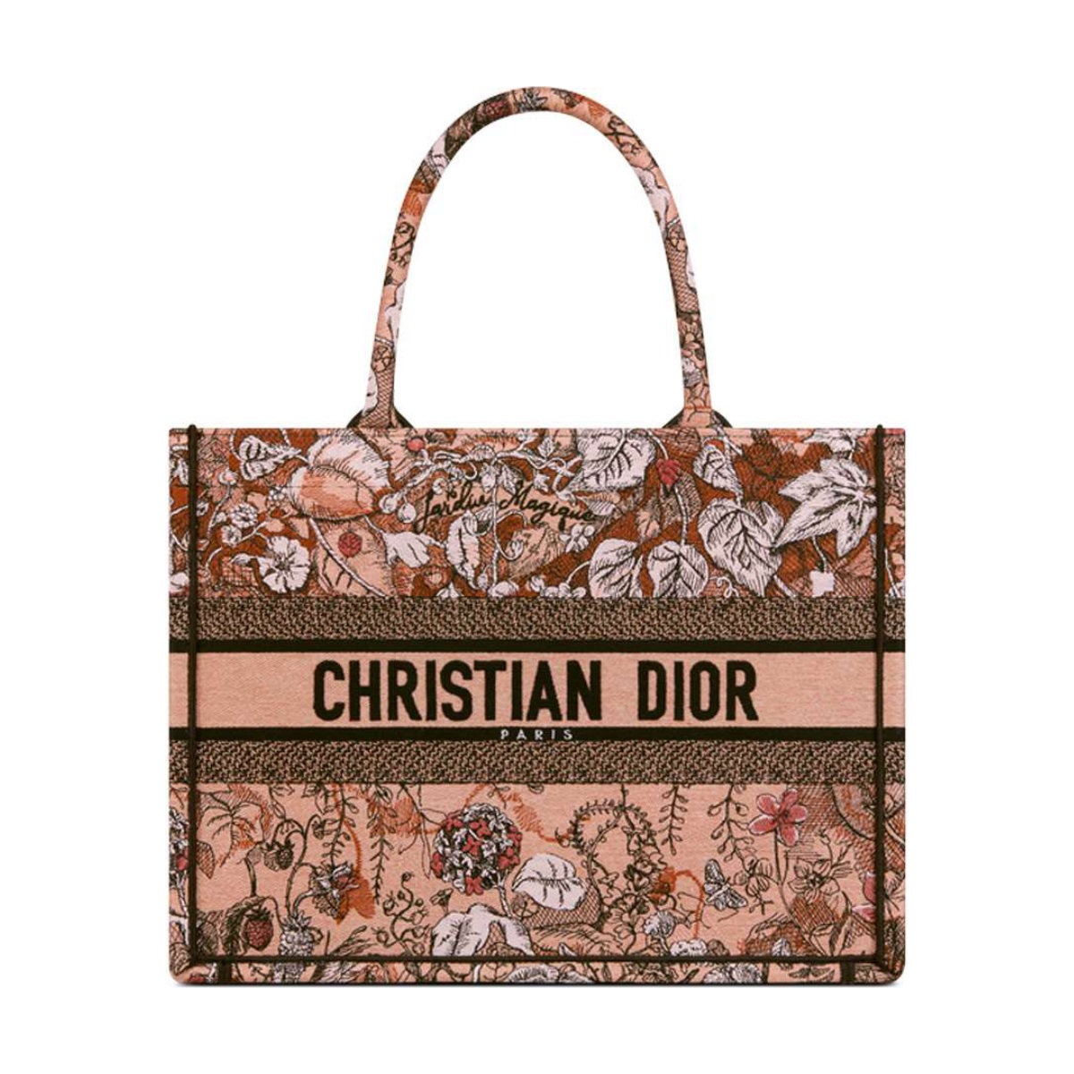 Christian Dior Medium Dior Book Tote