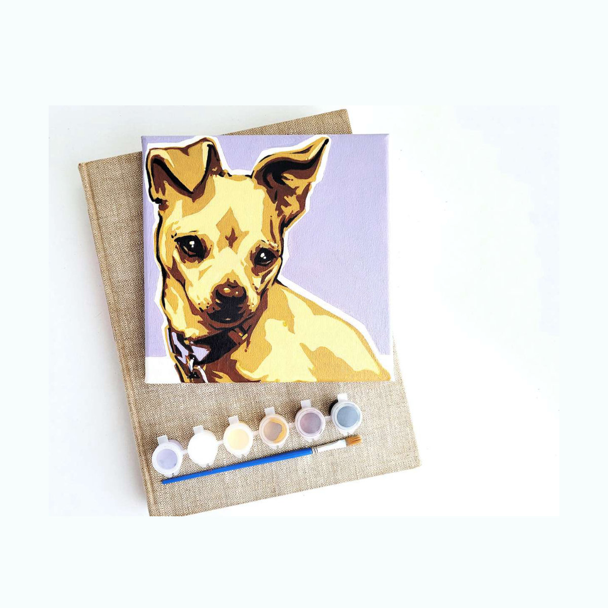 Dawn Toussaint Custom DIY Pet Paint Kit