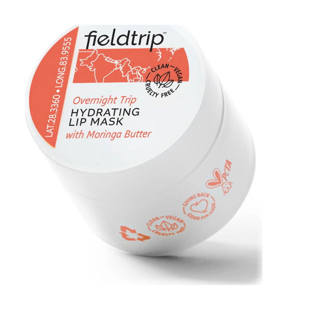 Fieldtrip Overnight Trip Hydrating Lip Mask