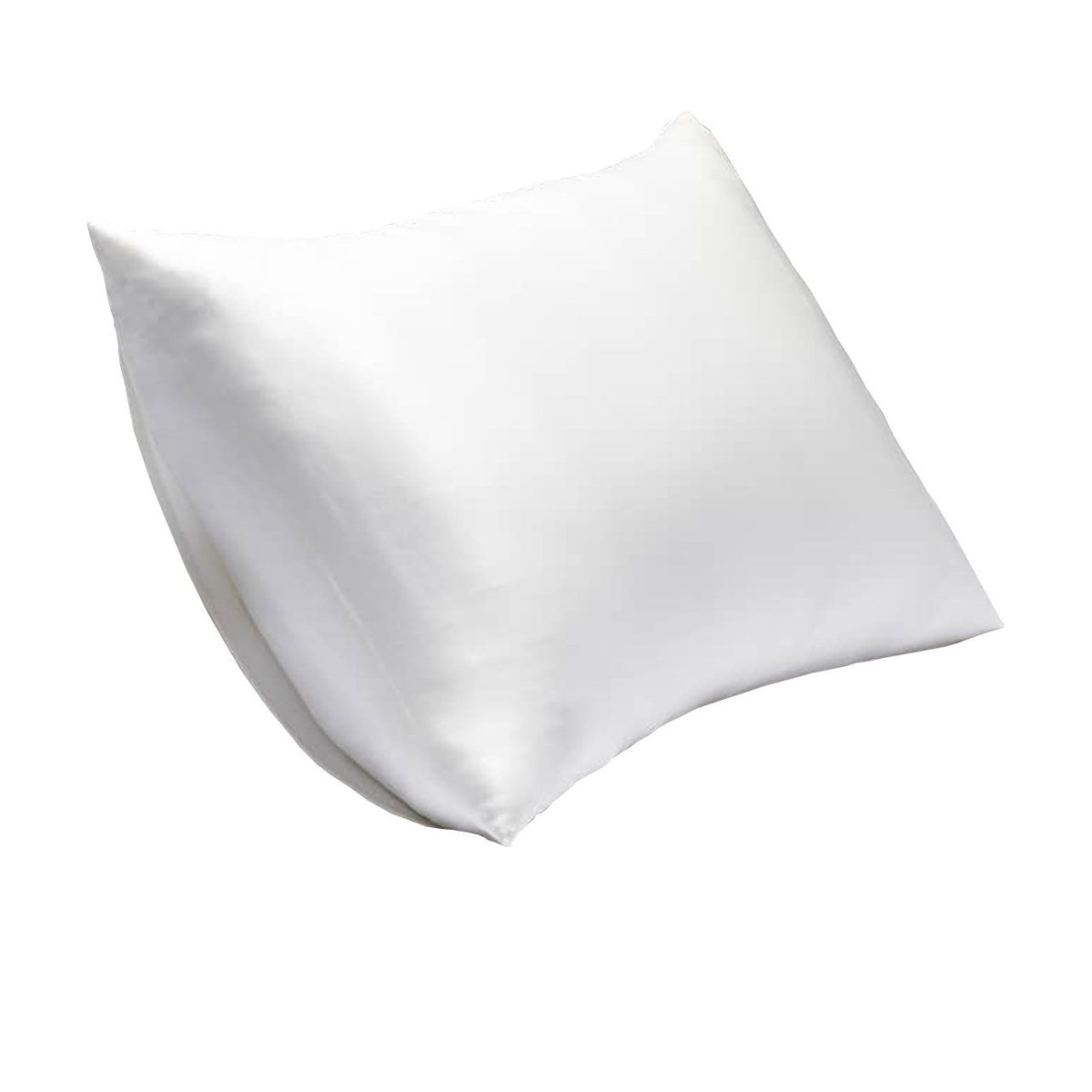 Fishers Finery 19 Momme 100% Pure Mulberry Silk Pillowcase