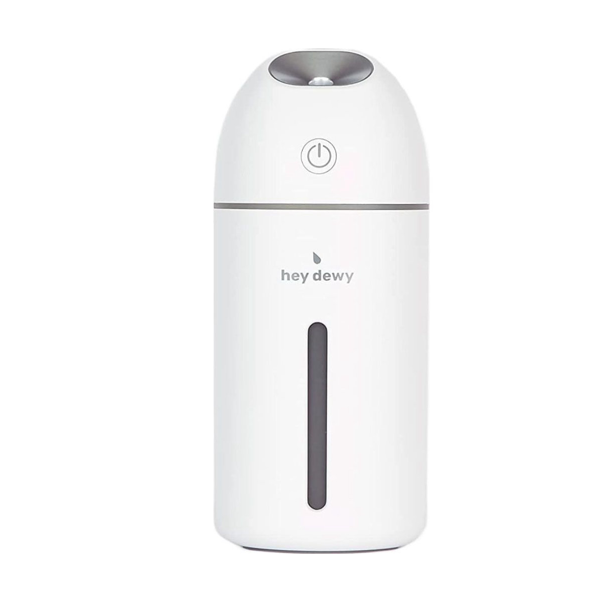 Hey Dewy Portable Facial Humidifier