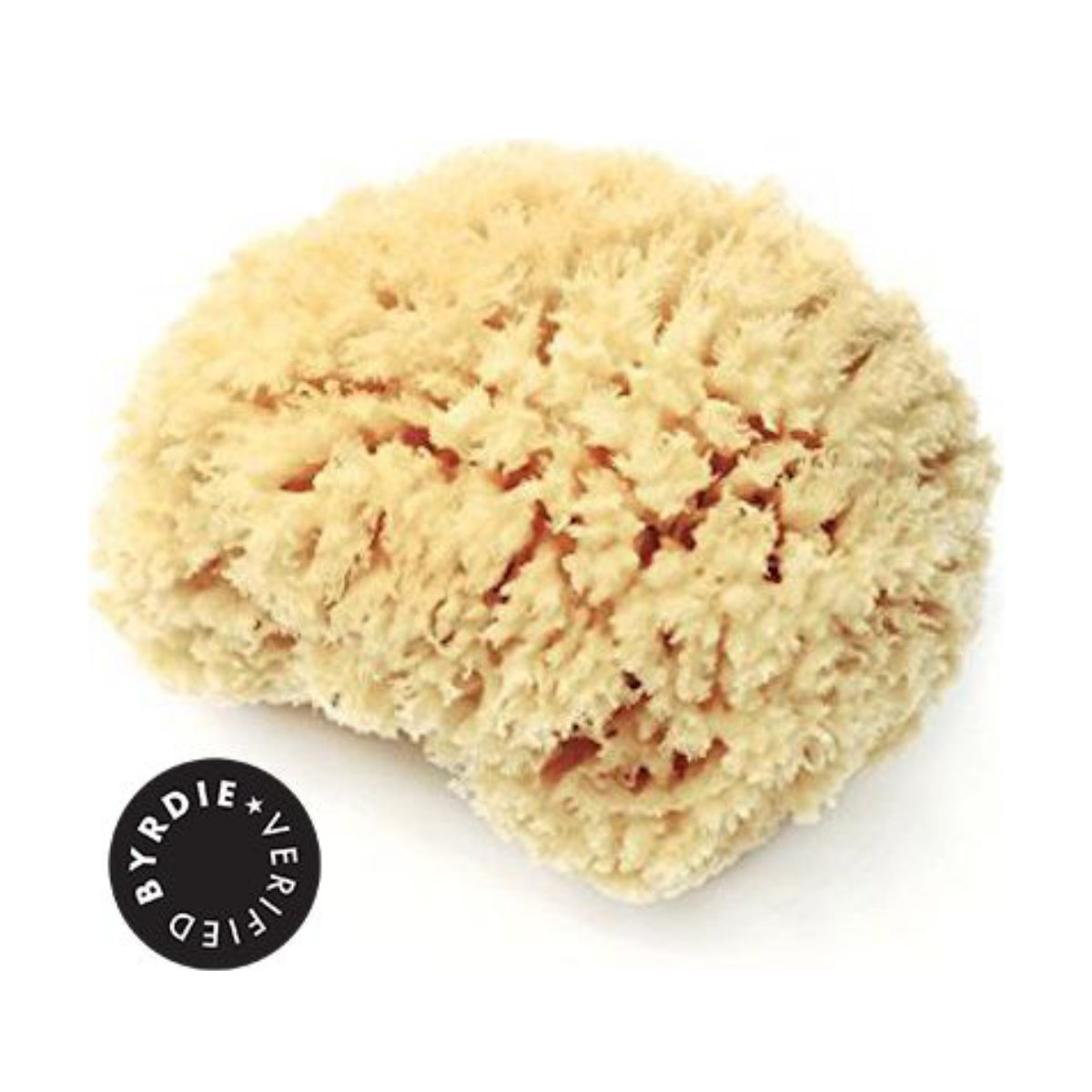 Lather Natural Sea Wool Sponge