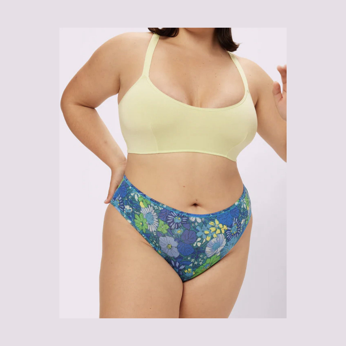 Parade Vintage High Rise Brief