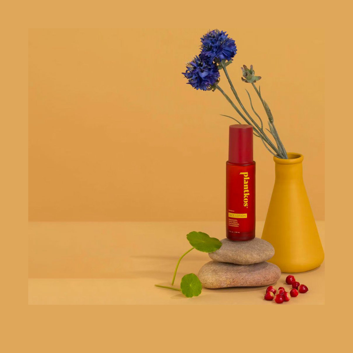 Plantkos Phyto A Face Lotion