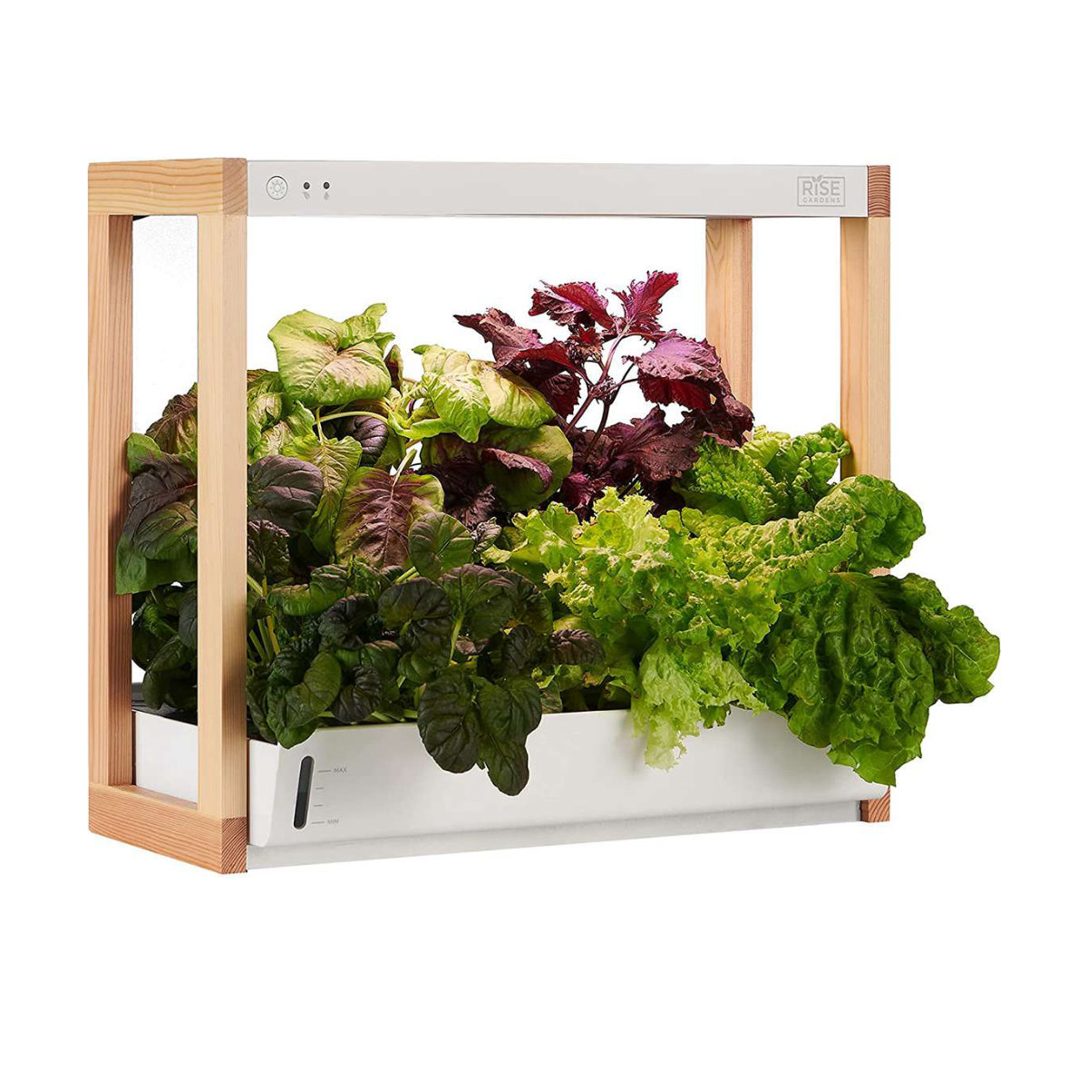 Rise Gardens Personal Garden and Starter Kit