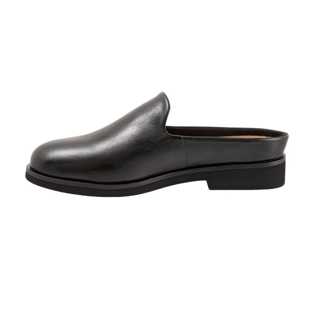 Softwalk Wolcott Mule