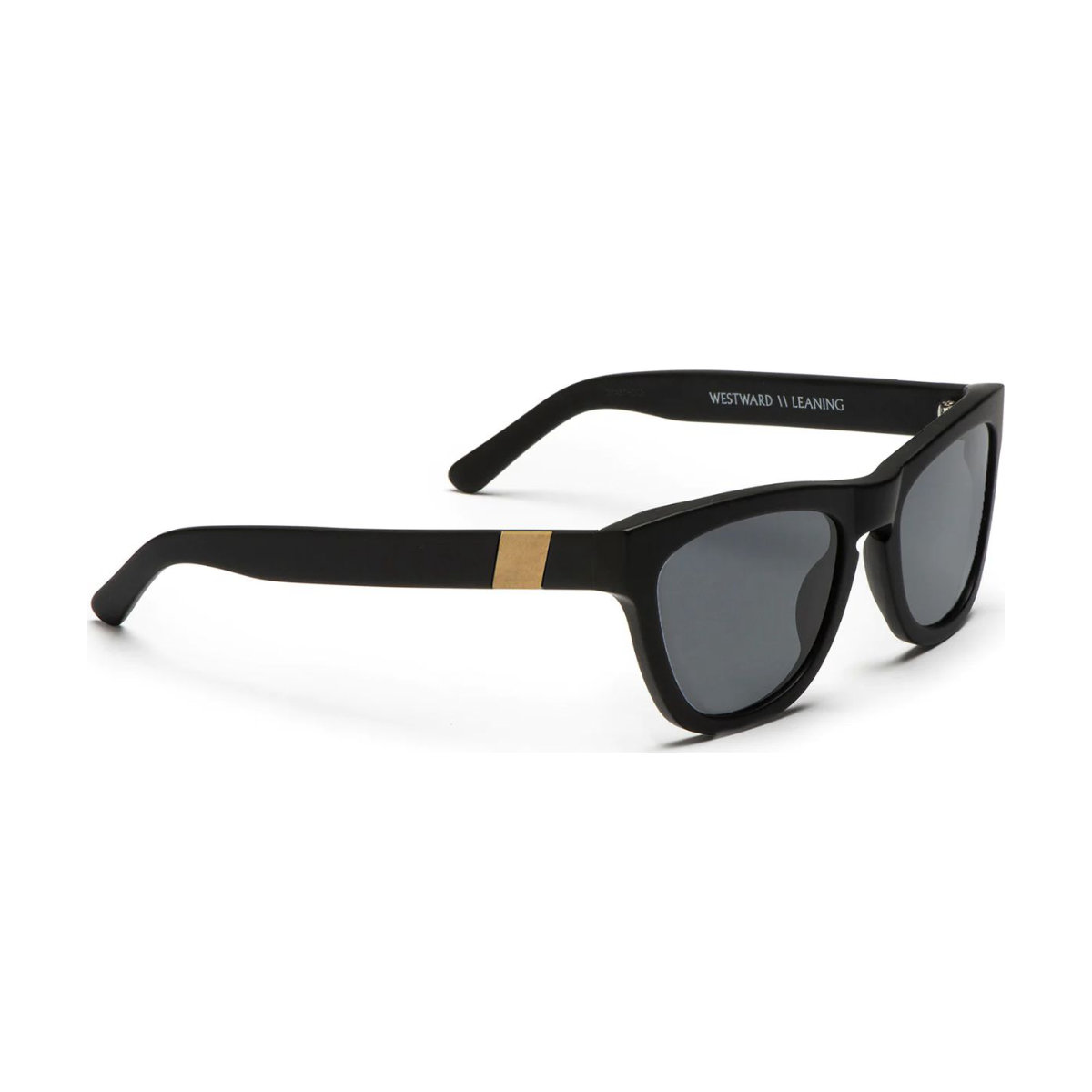 Westward Leaning Pioneer 2.1