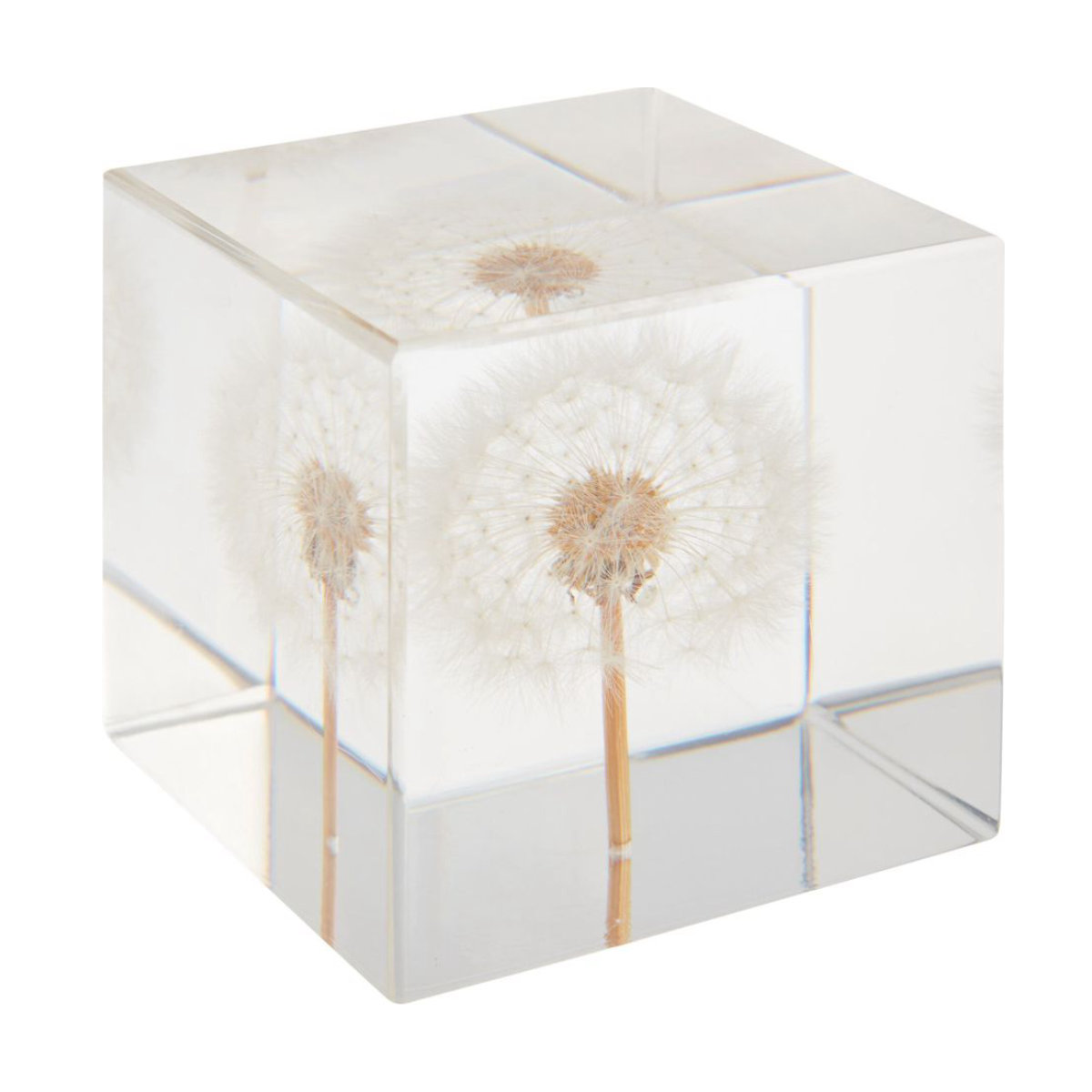 World Market Square Resin Dandelion Paperweight